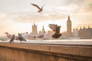 expedia promo codes - london